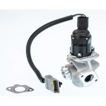 Vanne EGR WAHLER 710936D/1