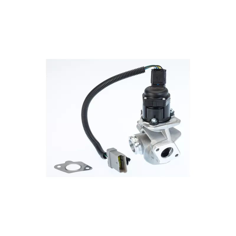 Vanne EGR WAHLER 710936D/1