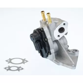 Vanne EGR WAHLER 710937D/1