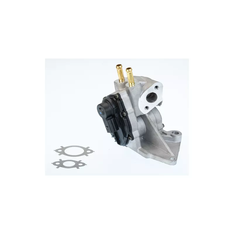 Vanne EGR WAHLER 710937D/1