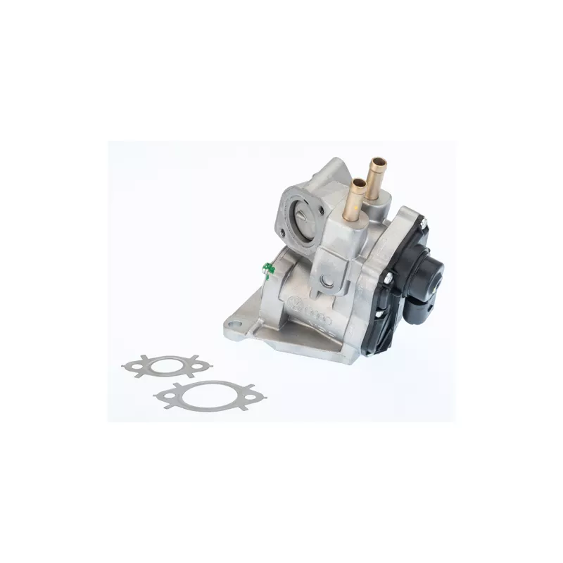 Vanne EGR WAHLER 710937R