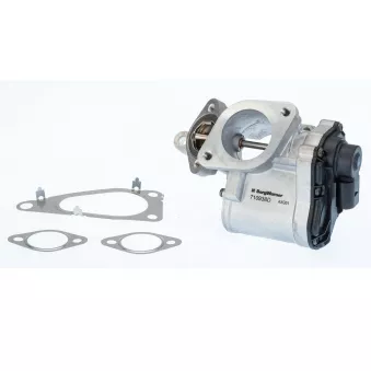 Vanne EGR WAHLER 710938D/1