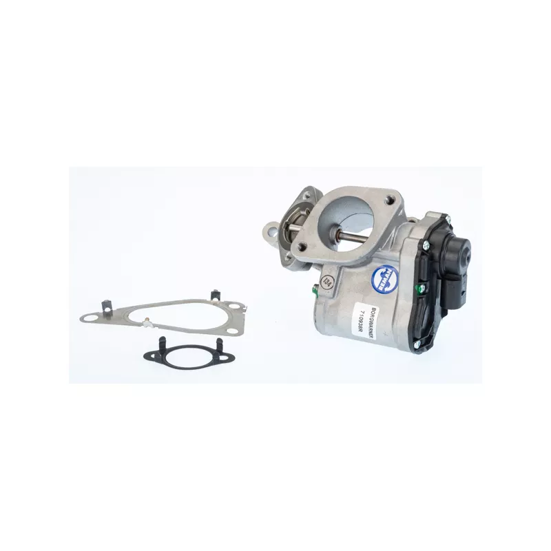 Vanne EGR WAHLER 710938R