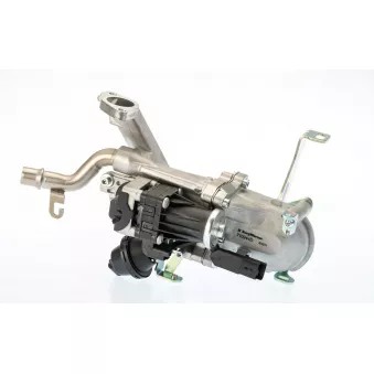 Module-EGR WAHLER 710944D/1