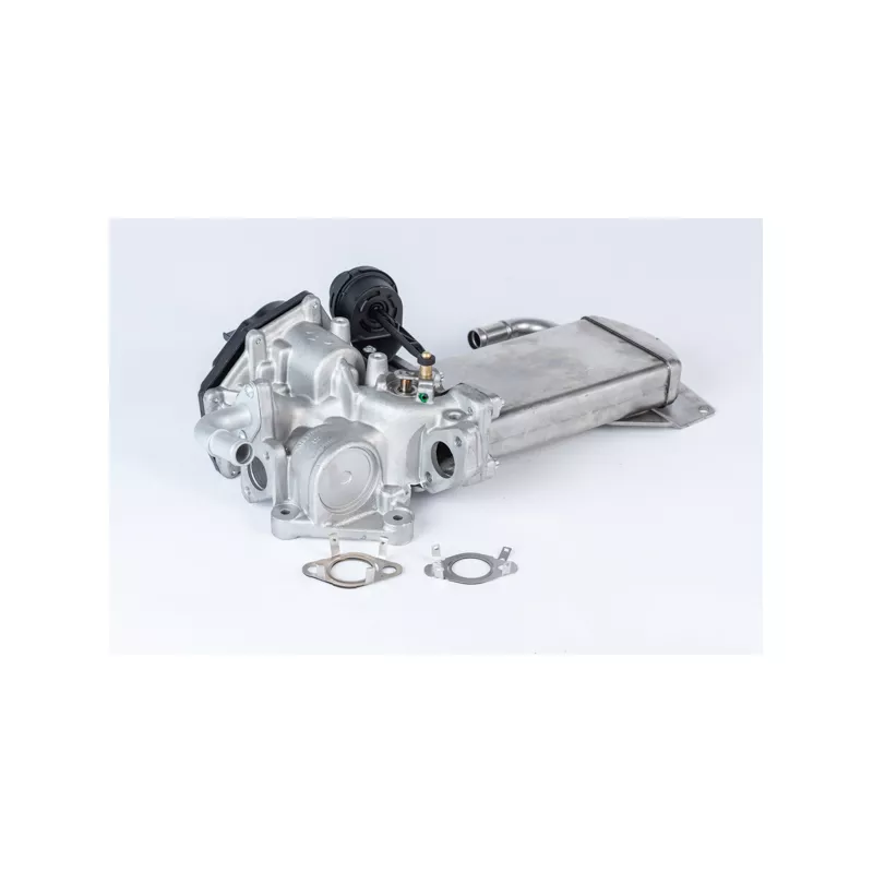 Vanne EGR WAHLER 710946R