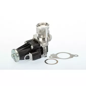 Vanne EGR WAHLER 710947R