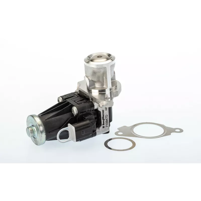 Vanne EGR WAHLER 710947R