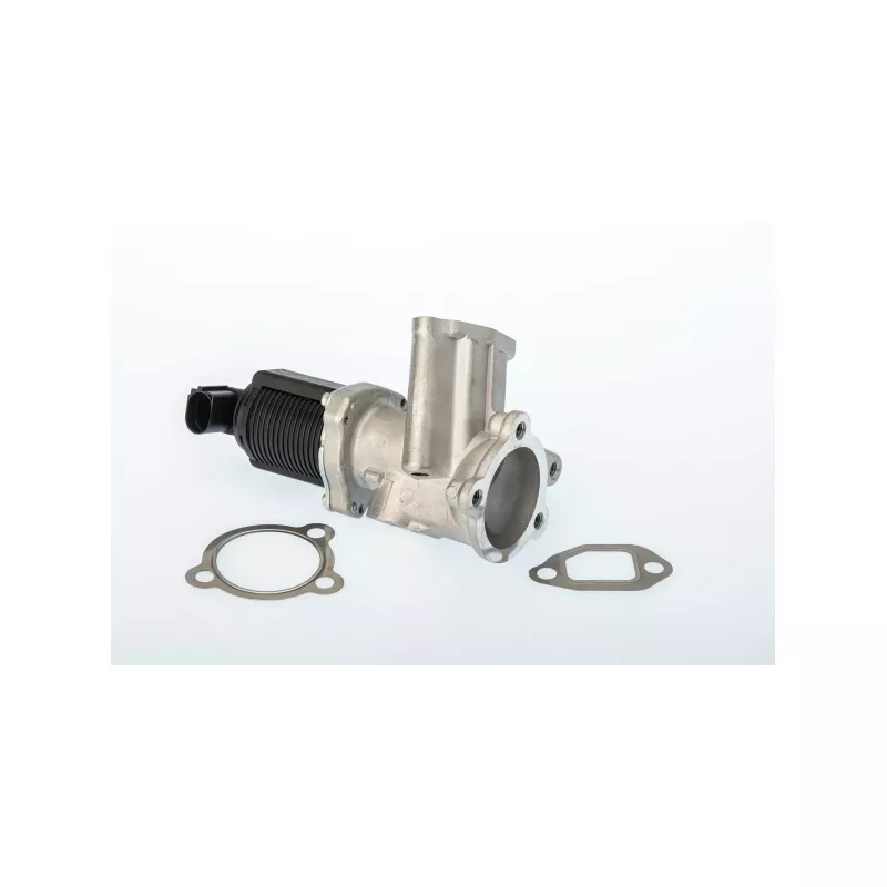 Vanne EGR WAHLER 710949D