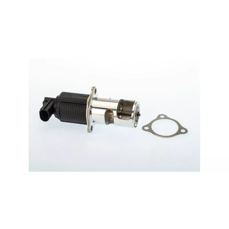 Vanne EGR WAHLER 710950R