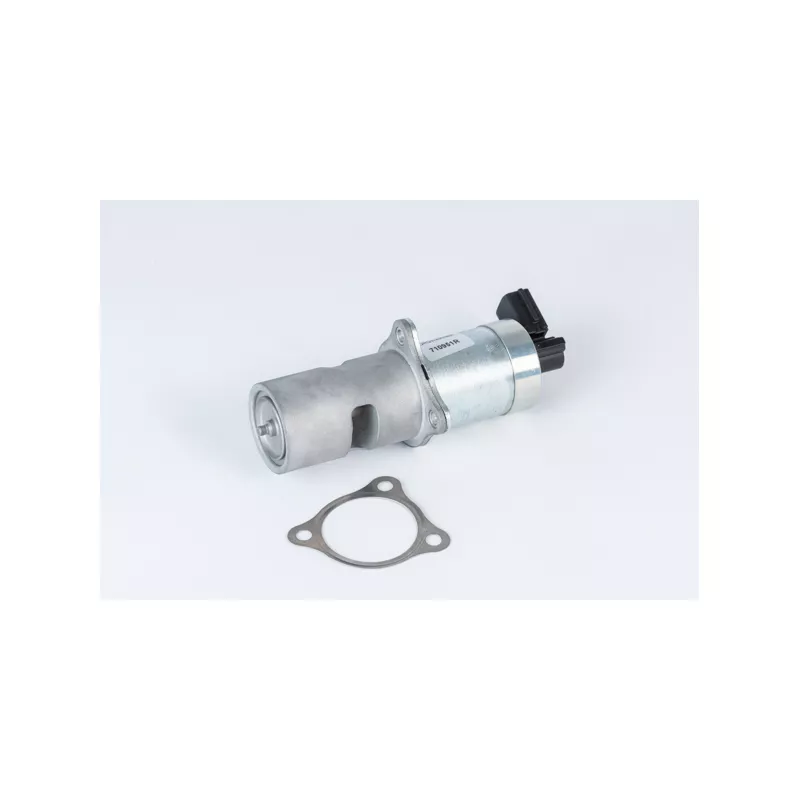 Vanne EGR WAHLER 710951R