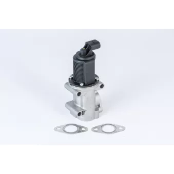 Vanne EGR WAHLER 710952R