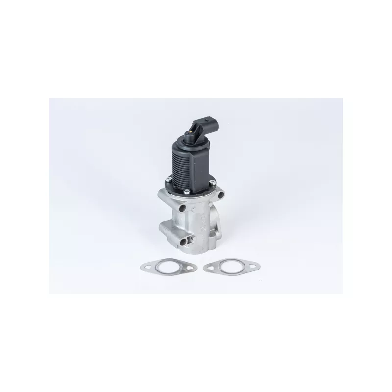 Vanne EGR WAHLER 710952R