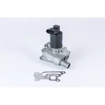 Vanne EGR WAHLER 710955R