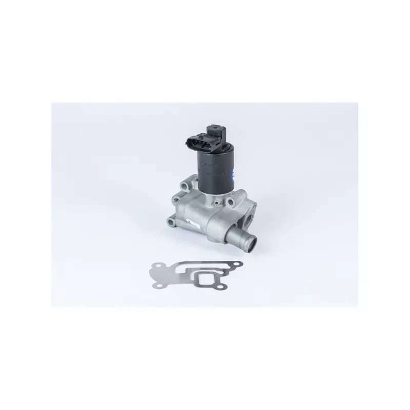 Vanne EGR WAHLER 710955R
