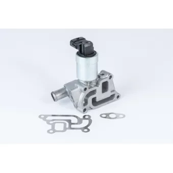 Vanne EGR WAHLER 710957R