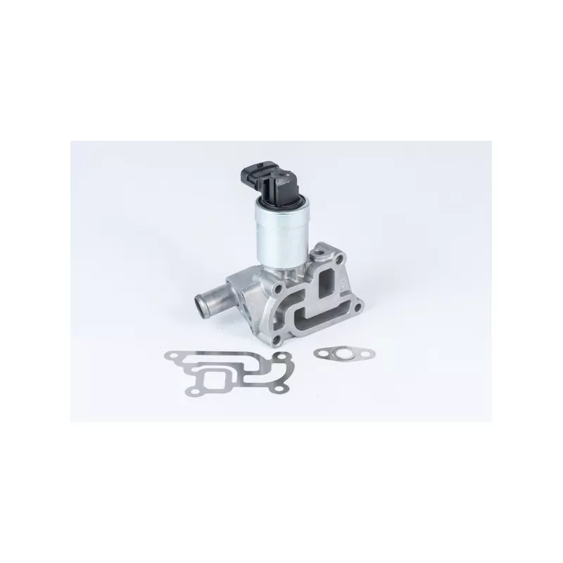 Vanne EGR WAHLER 710957R