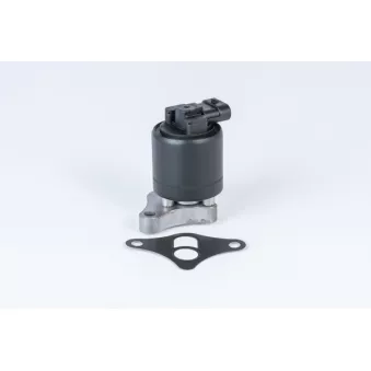 Vanne EGR WAHLER 710961R