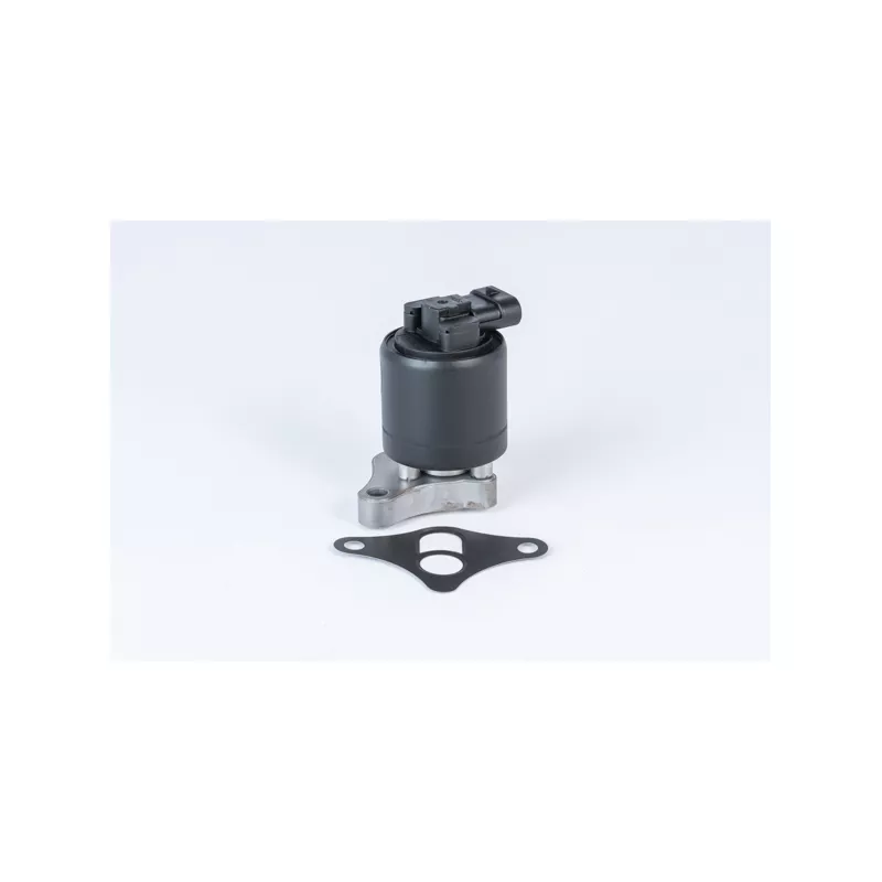Vanne EGR WAHLER 710961R