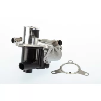 Vanne EGR WAHLER 710965D