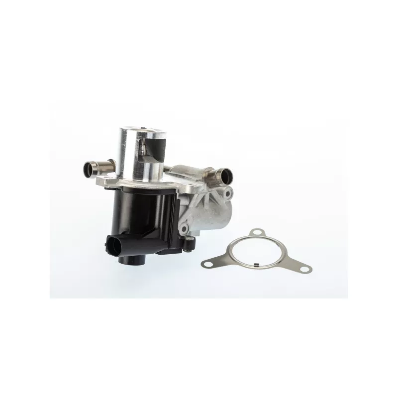 Vanne EGR WAHLER 710965D