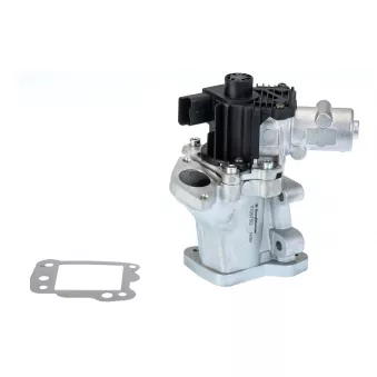 Vanne EGR WAHLER 710975D/1