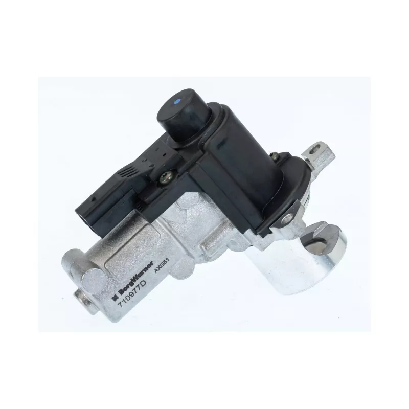 Vanne EGR WAHLER 710977D/1