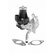 Vanne EGR WAHLER 710979D - Visuel 1