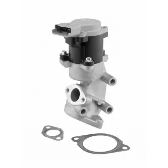 Vanne EGR WAHLER 710984D