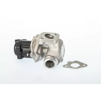 Vanne EGR WAHLER 711021D