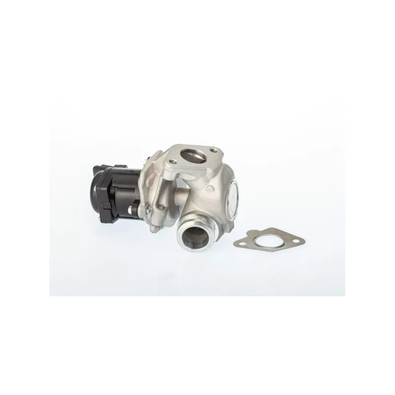 Vanne EGR WAHLER 711021D