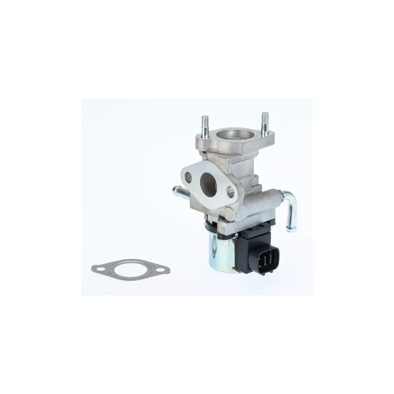 Vanne EGR WAHLER 711027D/1