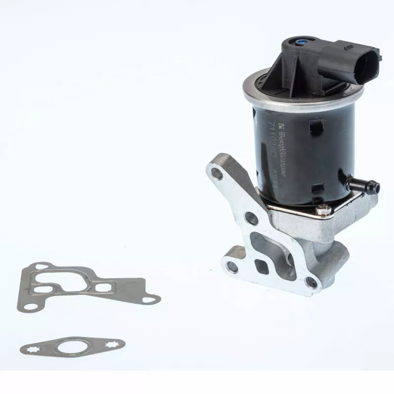 Vanne EGR WAHLER 711028D/1