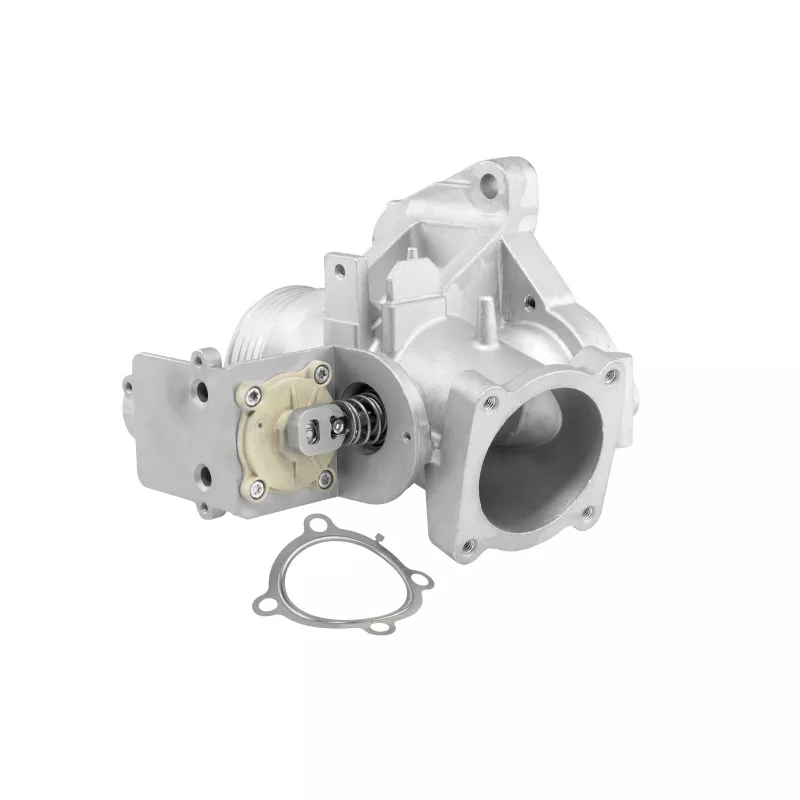 Vanne EGR WAHLER 712007R - Visuel 1