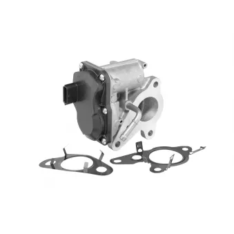 Vanne EGR WAHLER 712012R