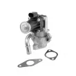 Vanne EGR WAHLER 712017D - Visuel 1