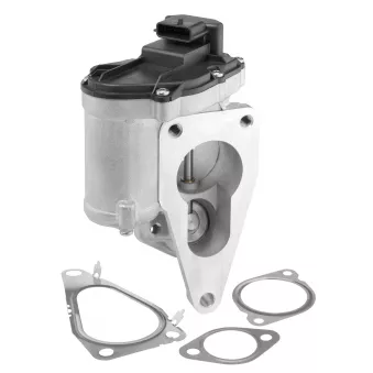 Vanne EGR WAHLER 712018D