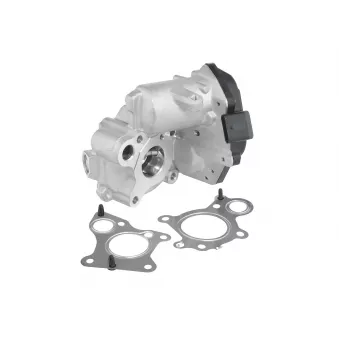 Vanne EGR WAHLER 712019D