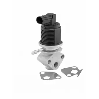 Vanne EGR WAHLER 712055D