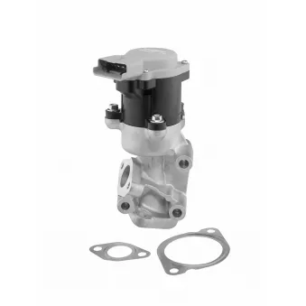 Vanne EGR WAHLER 712057D