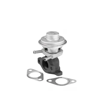Vanne EGR WAHLER 712069D