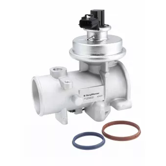 Vanne EGR WAHLER 712080D