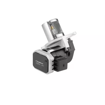 Vanne EGR WAHLER 7527D/1