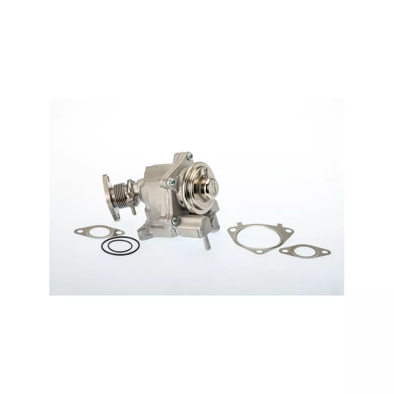 Vanne EGR WAHLER 7631D/1