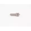 Buse d'injecteur BOSCH 0 433 171 029 - Visuel 2
