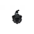 Pompe à haute pression BOSCH 0 445 010 379 - Visuel 3