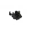 Pompe à haute pression BOSCH 0 445 010 406 - Visuel 3