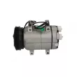 Compresseur, climatisation BOSCH 1 986 AD1 196 - Visuel 1