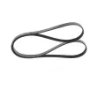 Courroie trapézoïdale à nervures BOSCH 1 987 946 029 - Visuel 3