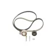 Kit de distribution BOSCH 1 987 946 717 - Visuel 3