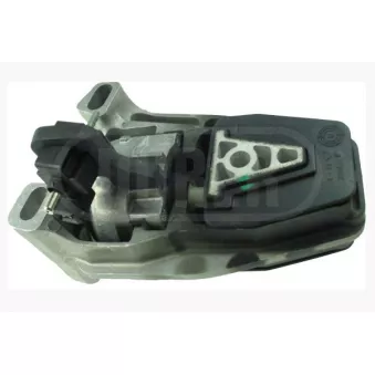 Support moteur DÜRER